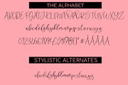 Angelina A Handwritten Script Font, a Handwritten Font by Freeling Design House (Thumbnail 2 of 4)