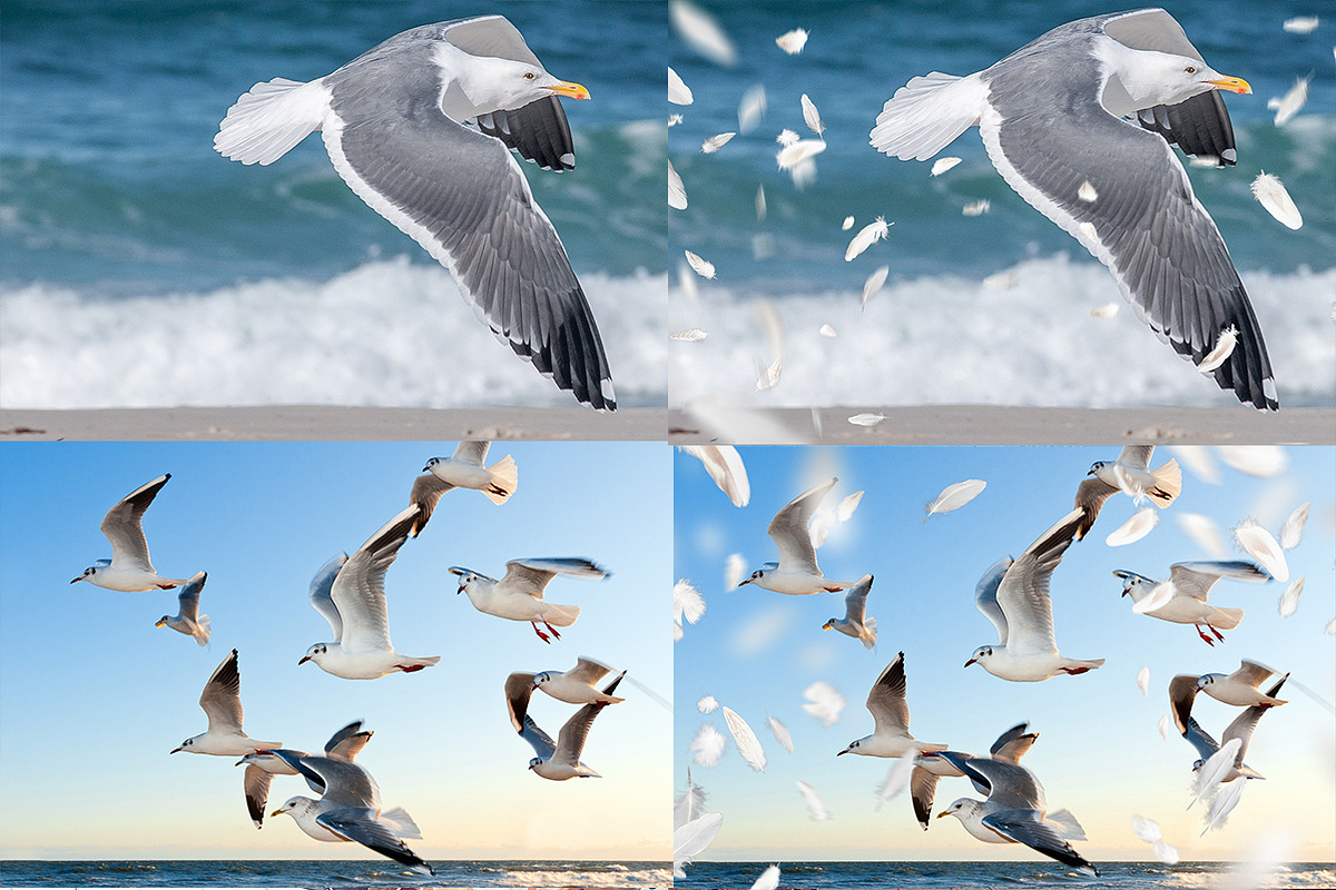 5K Feathers Overlays, an Object Graphic by ArtPlanet (Photo 4 of 7)