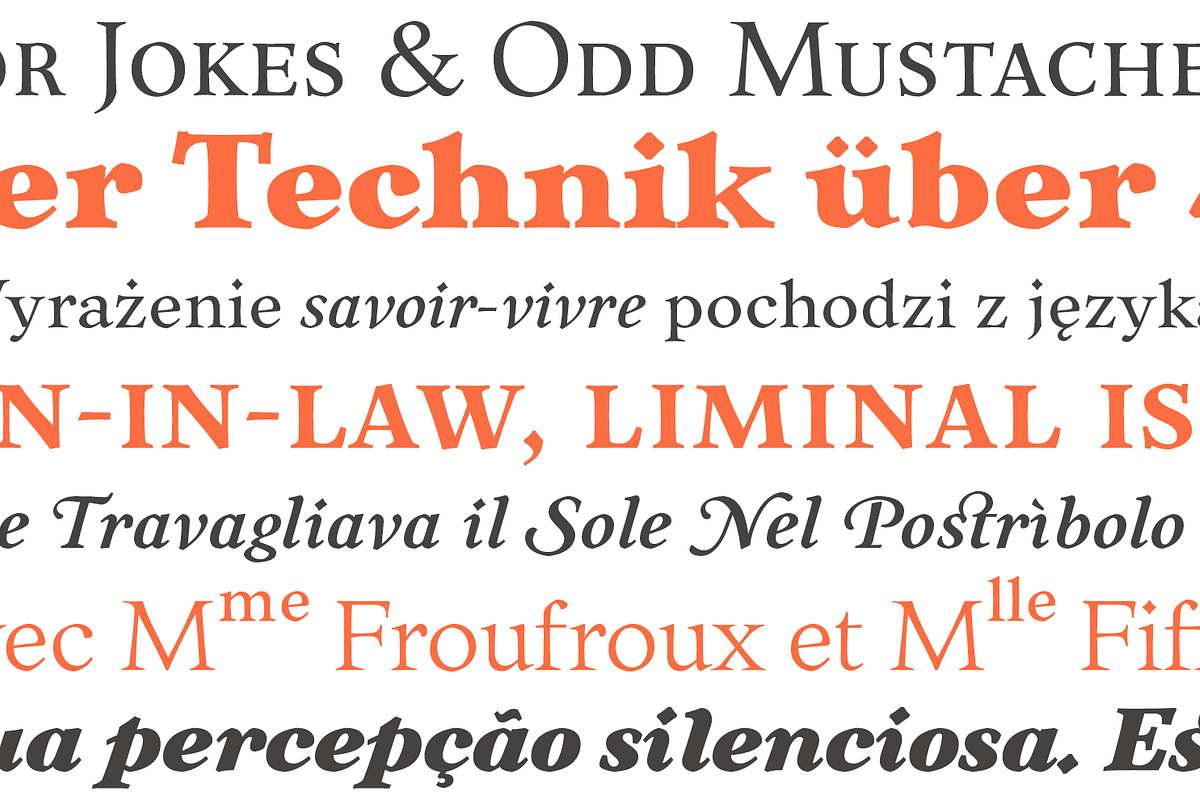 Liminal, a Serif Font by muccaTypo (Photo 2 of 7)