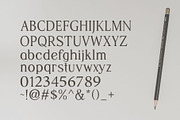 Sterla modern stylish typeface, a Serif Font by Font Kingdom (Thumbnail 3 of 9)