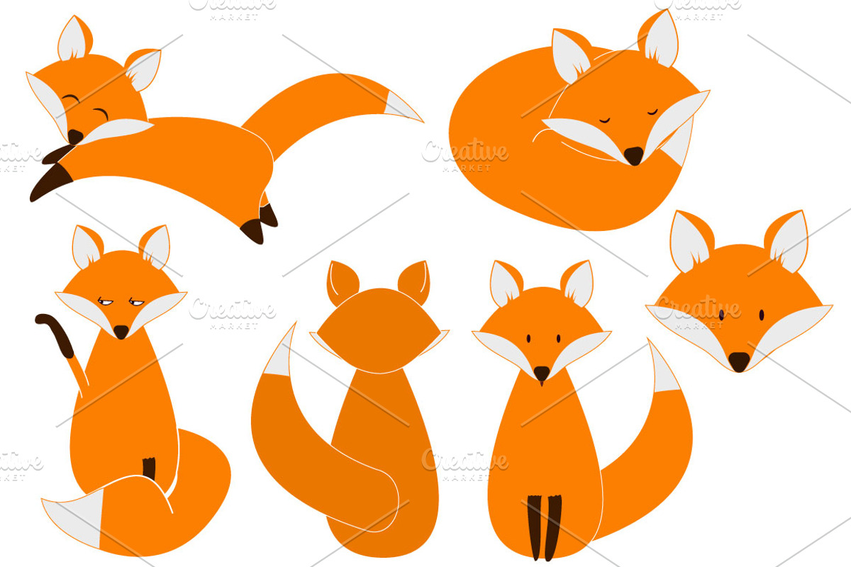 Cute fox set, an Animal Illustration by Tori Design
