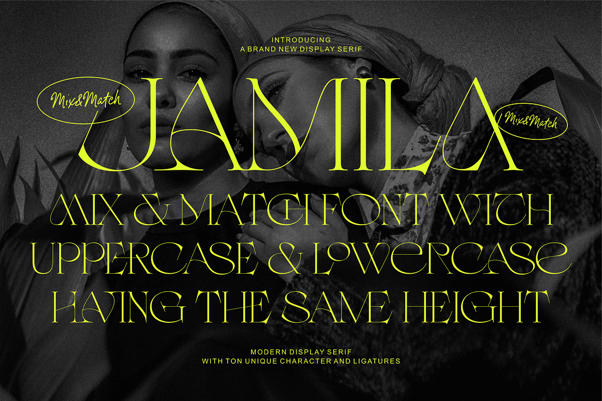Jamila Stylist Display Serif, a Serif Font by RedyStudio (Photo 1 of 12)