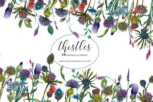 Watercolor Thistle Clip Art Set