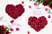 Watercolor peony flower, an Illustration by MiraEl Art (Thumbnail 5 of 15)