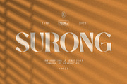 Surong Elegant Serif Font Typeface, a Serif Font by Graphicxell (Thumbnail 1 of 10)