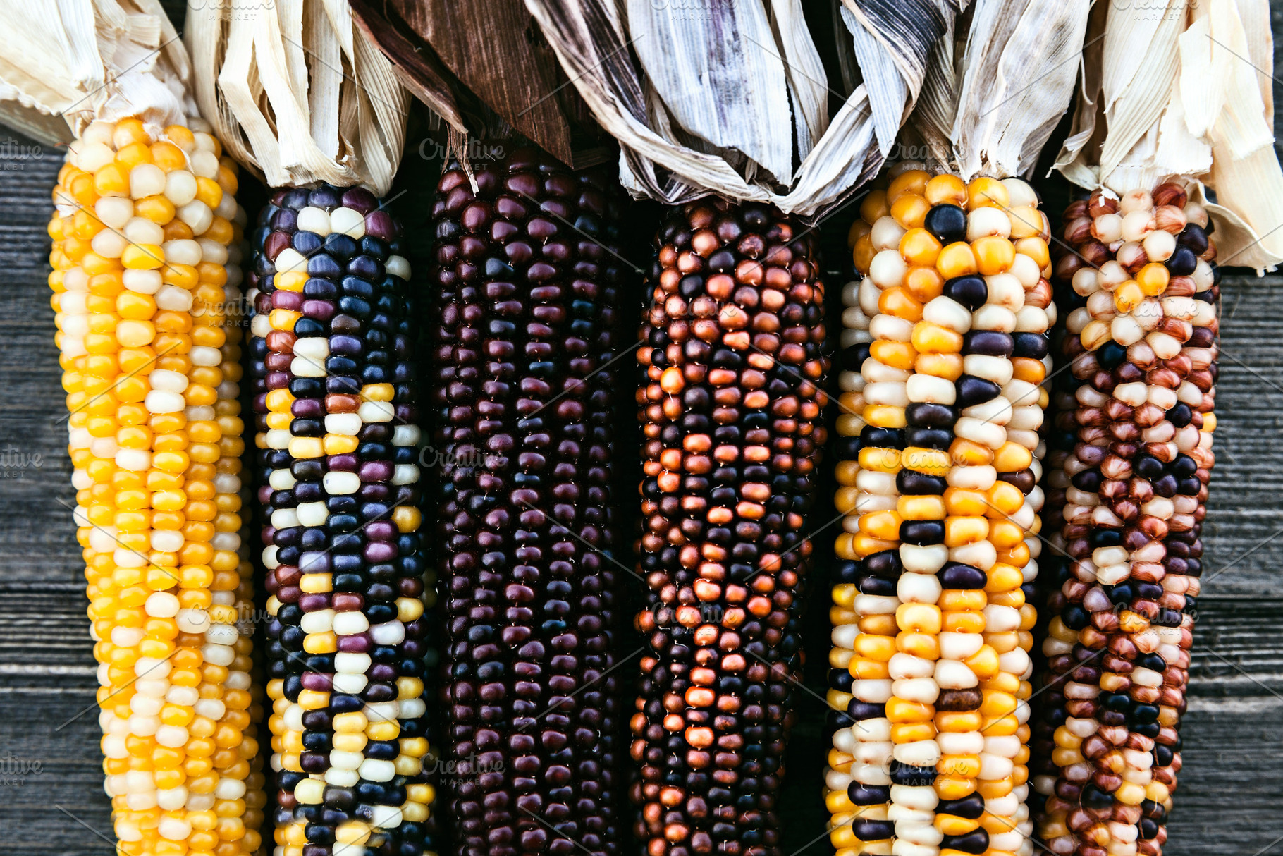 Ears Of Colorful Indian Corn, a Food & Drink Photo by PhotographerJen