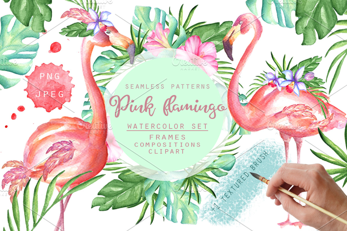 Pink flamingo set, an Illustration by artdreamer (Photo 1 of 6)
