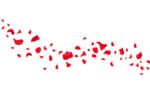 Graceful rose petals flying for, an Object Illustration by skripnikbb