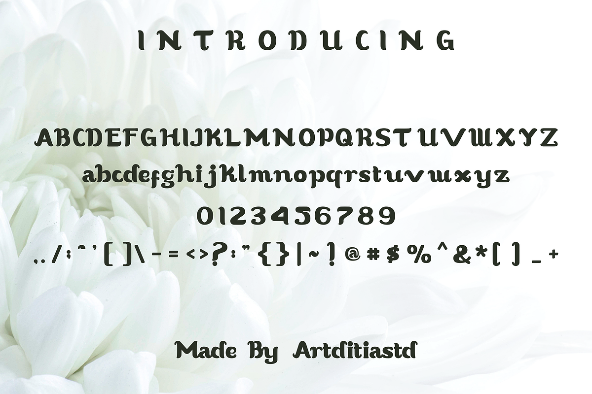 Anum font, a Handwritten Font by artditiastd (Photo 2 of 3)