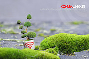 Smarty Planty - Plant life creator, a Product Mockup by envirographic (Thumbnail 5 of 24)