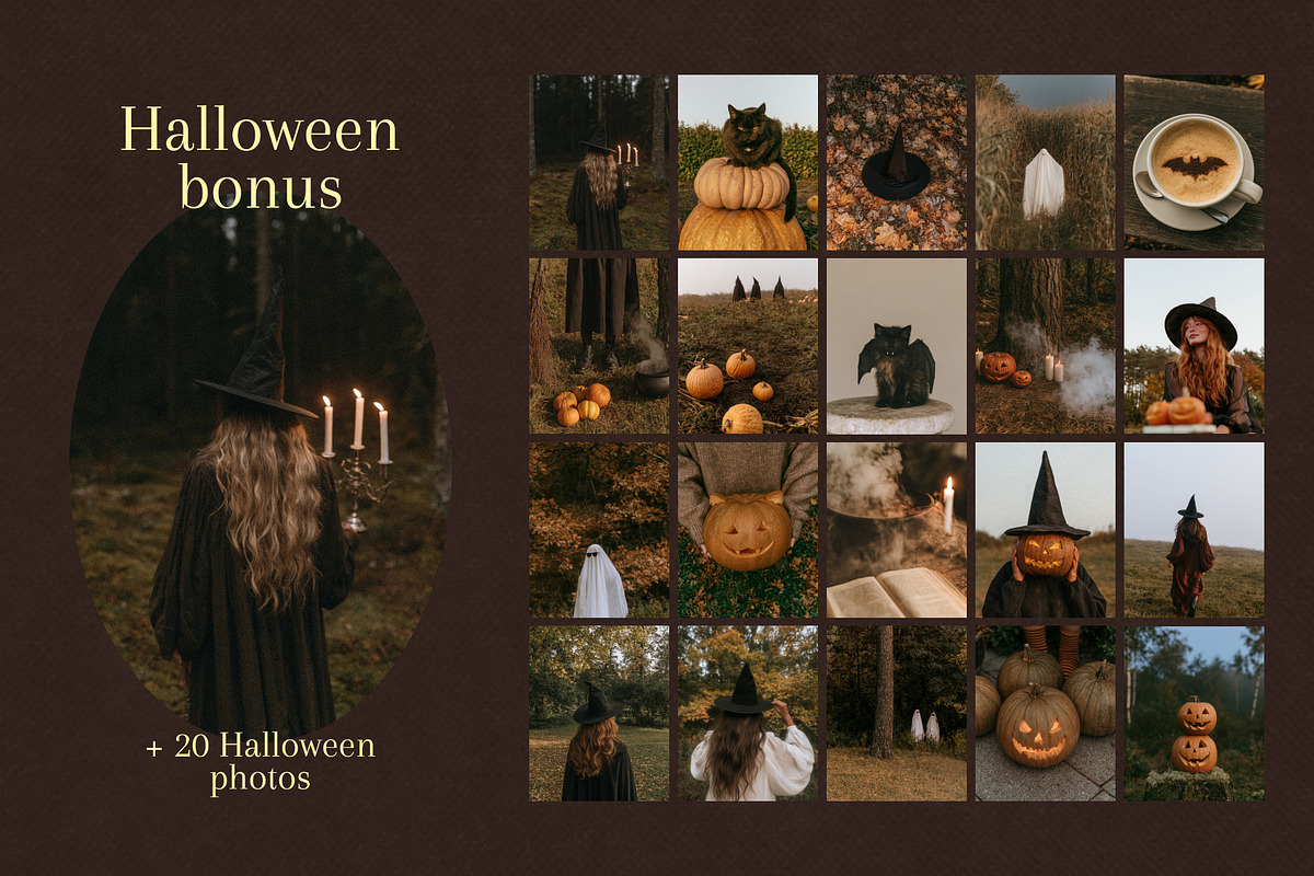 90+ Autumn Stock Photos, a Nature Photo by Trissa (Photo 10 of 12)