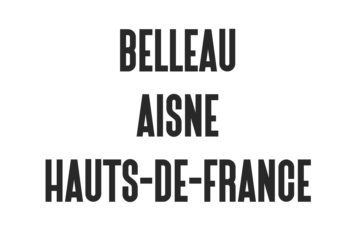 Belleau | Sans Serif Font Family preview 2
