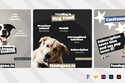 Animal Business - Instagram Carousel, a Social Media Template by Petr Bilek (Thumbnail 3 of 4)