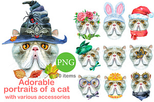 Portraits of Exotic Shorthair cat, an Animal Illustration by Watercolor fantasy