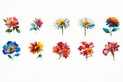 Watercolor Floral Summer Clipart, an Illustration by Designworld (Thumbnail 4 of 6)