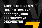 Norilsk font, a Sans Serif Font by yurlick (Thumbnail 3 of 7)