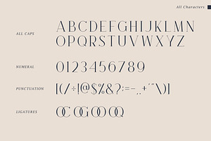 Brook - Modern And Elegant Serif