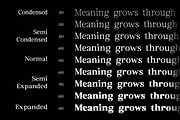 Euclid Serif | 180 Font Files, a Serif Font by Ws Studio (Thumbnail 3 of 12)