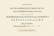Harmony Embrace - A Font Duo, a Serif Font by Letterhend Studio (Thumbnail 7 of 11)