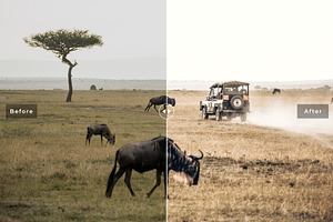 Safari Lightroom Presets Pack