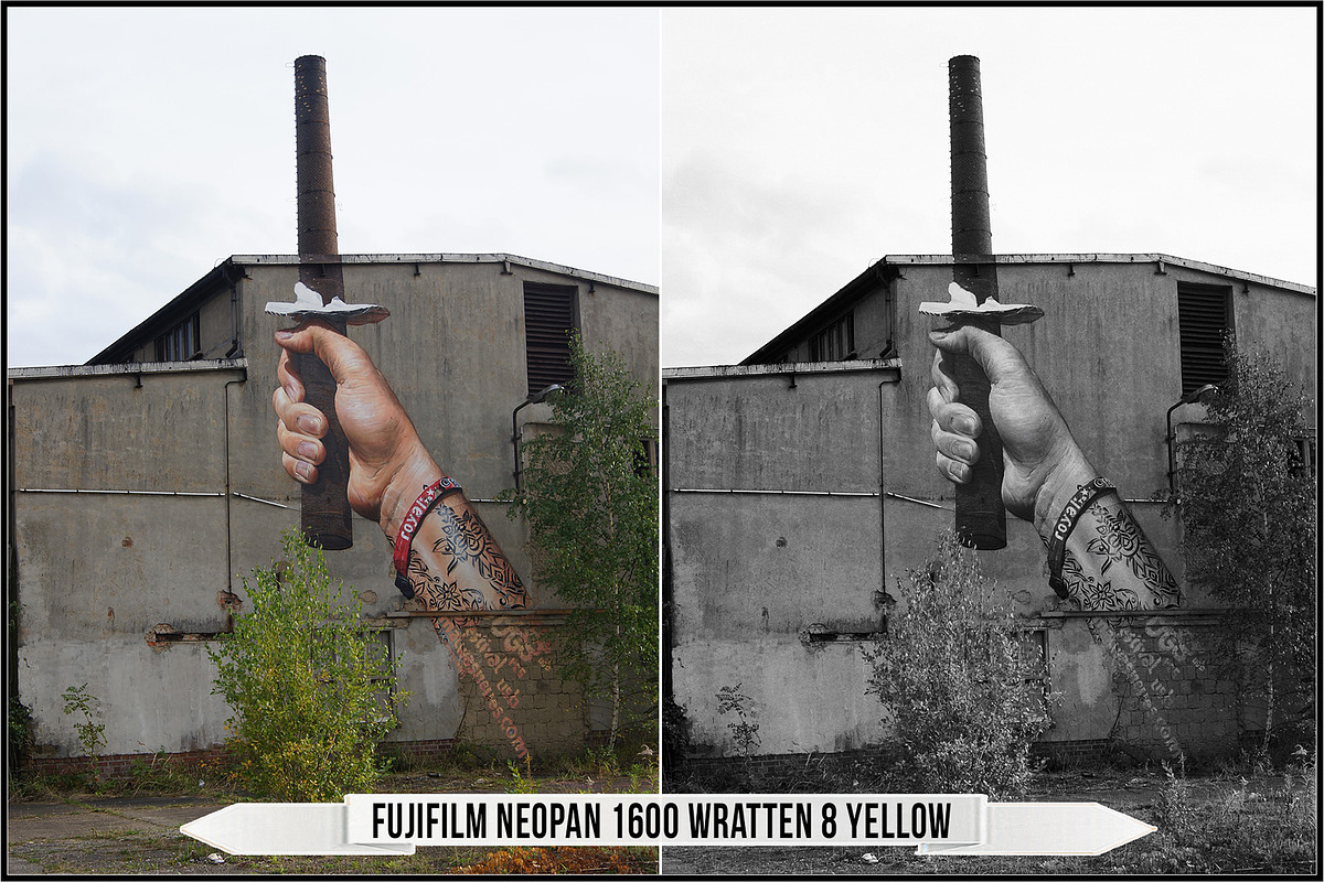 Fujifilm Black and White Film LUTs, a Plug-in Add-On by Raztrend (Photo 23 of 30)