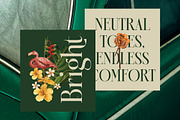 Karosa Modern Serif Display Font, a Serif Font by timelesstype.co (Thumbnail 15 of 20)