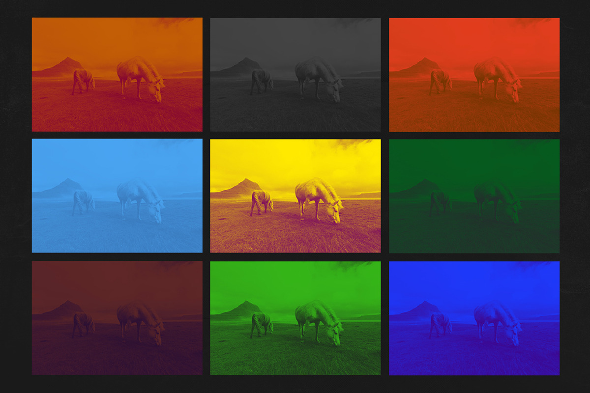Duotone Photoshop Action, an Action Add-On by Kovalski (Photo 8 of 9)