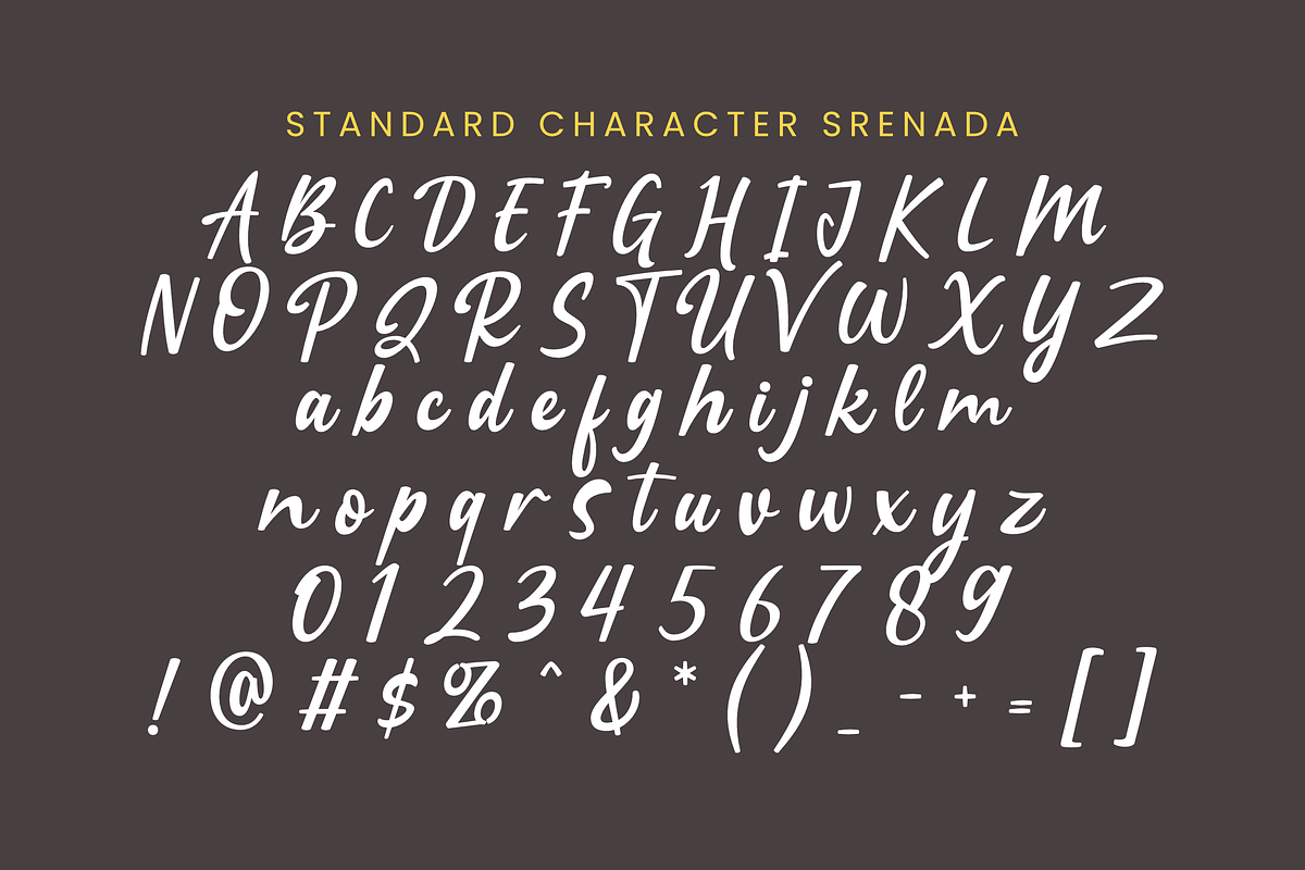 Srenada, a Handwritten Font by ahweproject (Photo 5 of 8)
