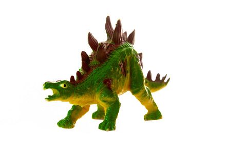 Realistic plastic model of a Stegosaurus dinosaur on white backg, an Animal Photo by Antonio Gravante Market