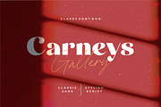 Carneys Gallery Font Duo, a Sans Serif Font by Letteralle Studios (Thumbnail 16 of 16)