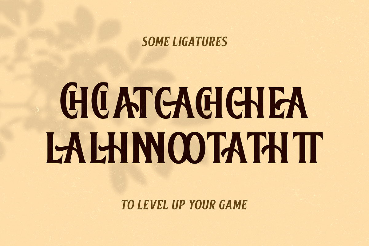 Baisteach | Vintage Serif, a Serif Font by Twicolabs Fontdation (Photo 9 of 9)