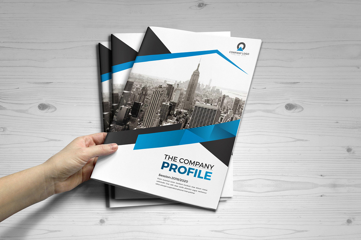 Company Profile Template V6, a Brochure Template by JanySultana (Photo 14 of 14)
