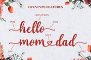 Homes Honey Font, a Script Font by Multype Studio (Thumbnail 2 of 9)