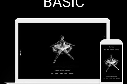 Basic Side, a Websites & App Template by SideThemes