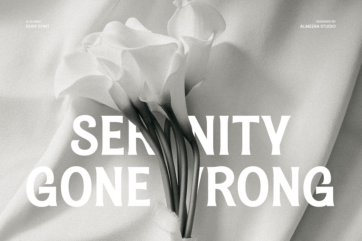 Magnes - A Display Serif Font, a Sans Serif Font by Almeera Std (Photo 3 of 10)