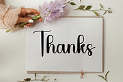 Flamingo, a Handwritten Font by FreshTypeINK (Thumbnail 6 of 8)