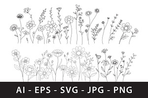 Elegant wildflower line art, a Decorative Illustration by Saba Vector