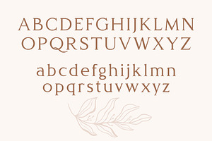 Delight - Luxury Serif Typeface