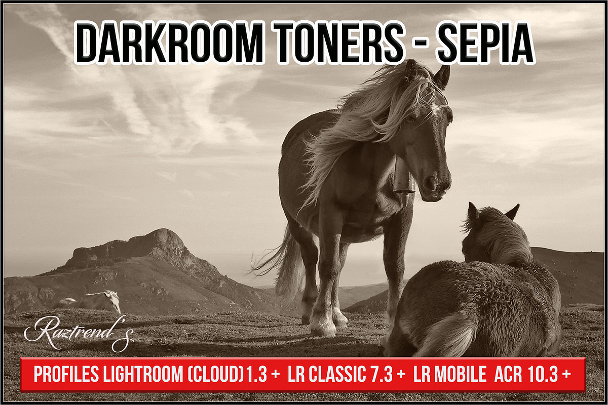 Darkroom Toners - Sepia Profiles, a Plug-in Add-On by Raztrend (Photo 1 of 30)