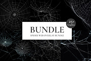 Spider Web Overlay Bundle, a Background Photo by M9 Design (Thumbnail 1 of 10)