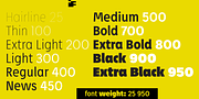 Petermann, a Sans Serif Font by ingoFonts (Thumbnail 6 of 10)