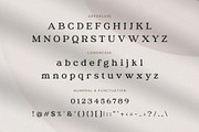 Austena – Modern Stylish Serif, a Serif Font by BrandSemut (Thumbnail 9 of 10)