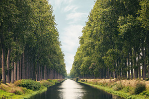 The Damme Canal in the Belgium, a Nature Photo by BOOCYS