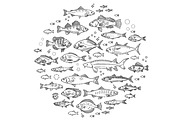 Vector Illustration With Fish, an Animal Illustration by Tettygreen (Thumbnail 1 of 3)