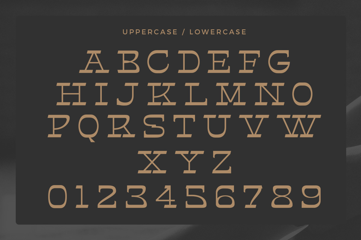 Helter Slab, a Serif Font by Dora Typefoundry (Photo 11 of 13)