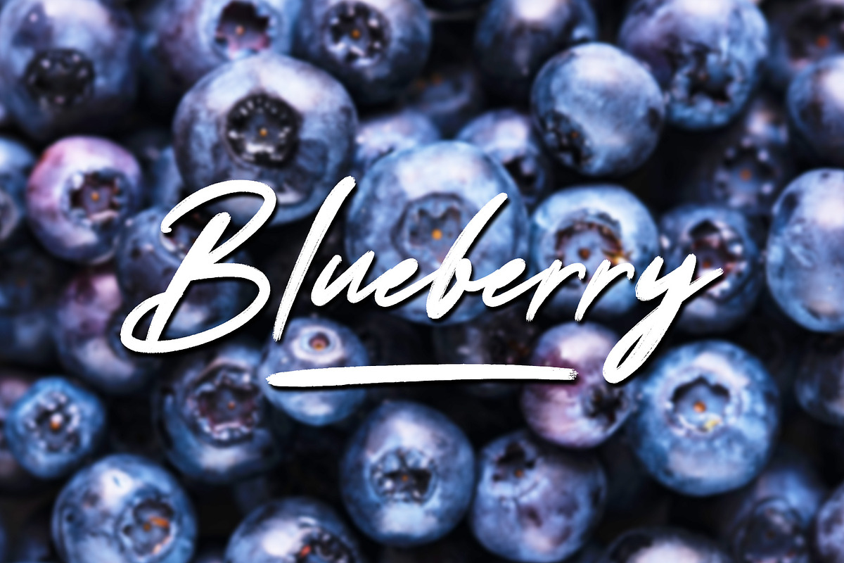 Scoutdale | Handwritten Brush Font preview 5