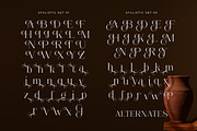 Righway Magnolia - Elegant Luxury, a Serif Font by Shakira Studio (Thumbnail 10 of 10)