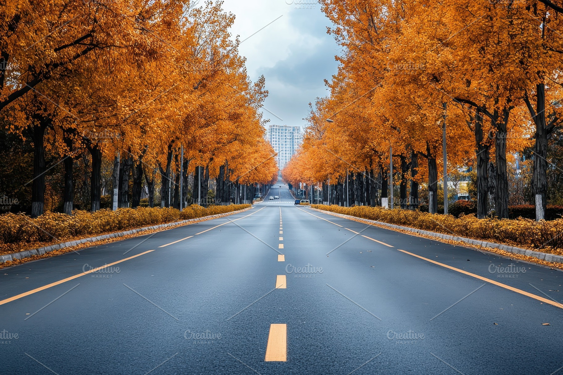 An empty city road in autumn reflect, a Photo by Pavel_design