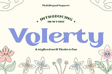 Volerty - Serif Display Font