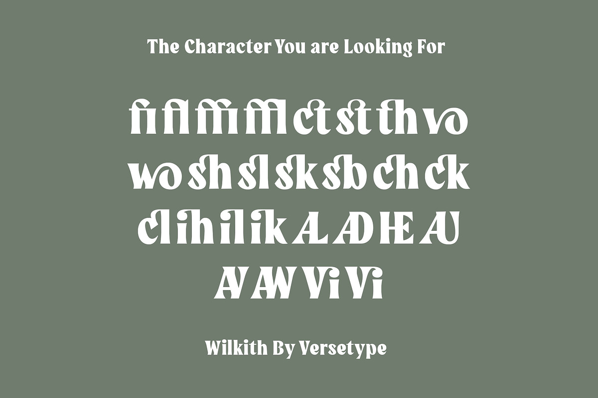 Wilkith Bold Serif, a Serif Font by Versetype (Photo 12 of 12)